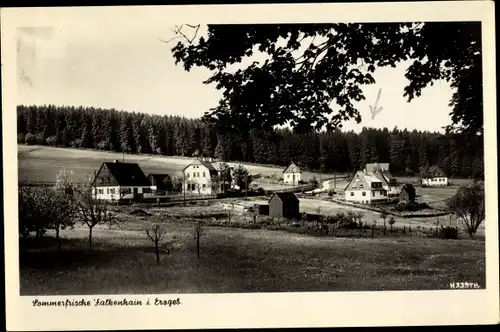 Ak Falkenhain Altenberg im Osterzgebirge, Panorama