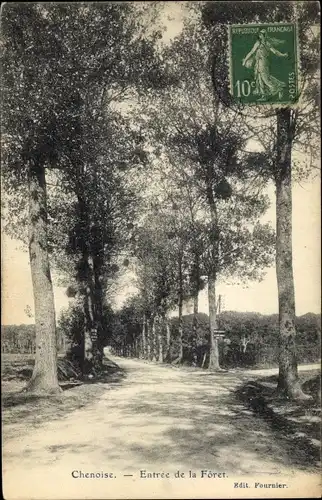 Ak Chenoise Seine-et-Marne, Entree de la Foret