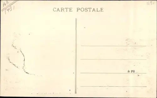 Ak Chateauneuf sur Sarthe Maine-et-Loire, Vue a vol d'oiseau