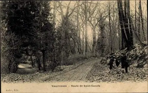 Ak Vaucresson Hauts de Seine, Route de Saint Cucufa, Waldpartie