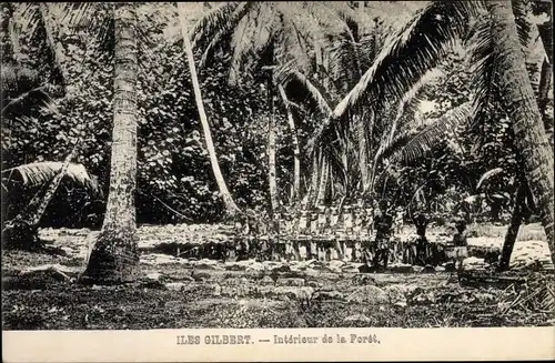 Ak Iles Gilbert Gilbertinseln Kiribati, Intérieur de la Forêt