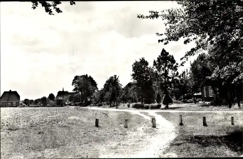 Ak Elspeet Gelderland, Nachtegaalweg