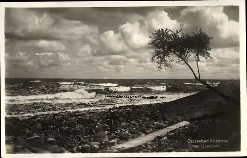 Ak Ostseebad Koserow auf Usedom, Küste