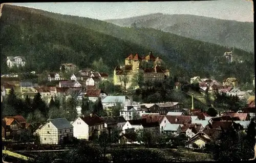 Ak Elgersburg in Thüringen, Panorama