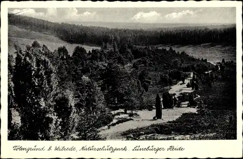Ak Wilsede Bispingen in der Lüneburger Heide, Totengrund, Naturschutzpark, Lüneburger Heide