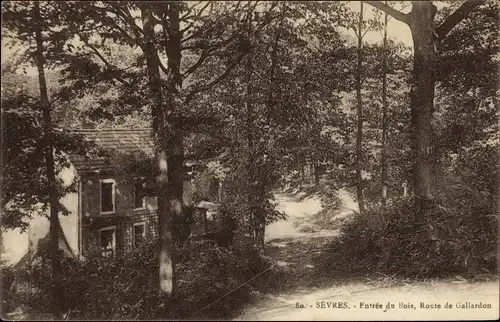 Ak Sèvres Hauts-de-Seine, Entrée du Bois, Route de Gallardon