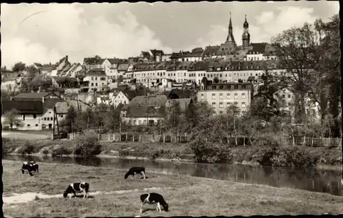 Ak Waldenburg in Sachsen, Teilansicht, Kuhweide