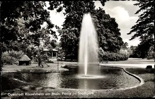 Ak Rüsselsheim am Main in Hessen, Stadtpark, Fontäne