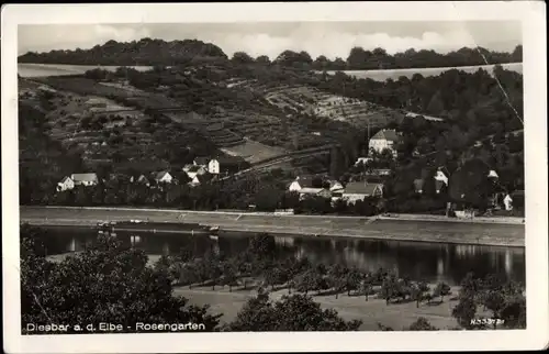 Ak Diesbar Seußlitz Nünchritz an der Elbe, Rosengarten