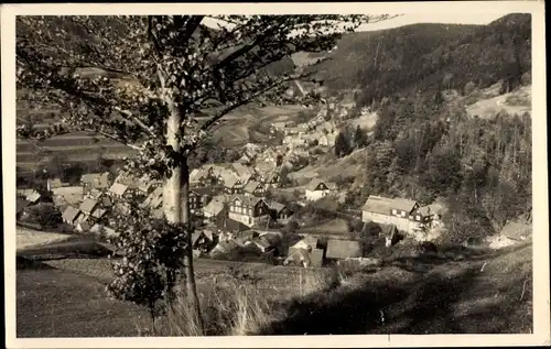 Ak Gießübel Schleusegrund Thüringen, Panorama