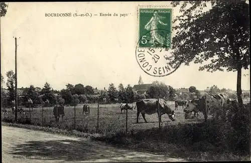 Ak Bourdonné Yvelines, Entrée du Pays, Vaches dans un Pré