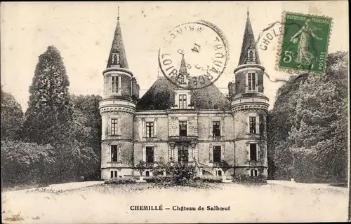 Ak Chemillé Maine et Loire, Chateau de Salboeuf