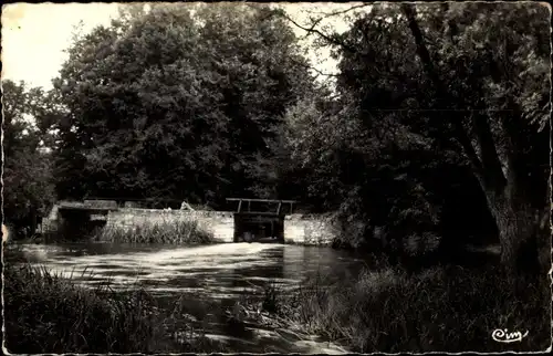 Ak Billy Loir et Cher, Bords de la Sauldre