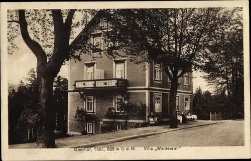 Ak Oberhof im Thüringer Wald, Villa Waldesruh