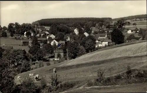Ak Wohlhausen Markneukirchen im Vogtland, Panorama