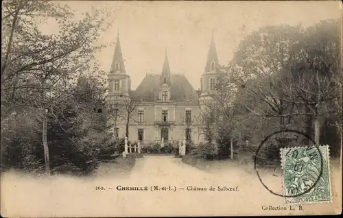 Ak Chemillé Maine et Loire, Chateau de Salboeuf