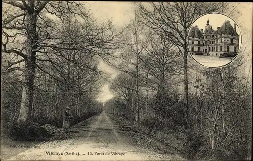 Ak Vibraye Sarthe, La Forêt