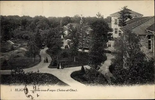 Ak Bligny Essonne, Briis sous Forges