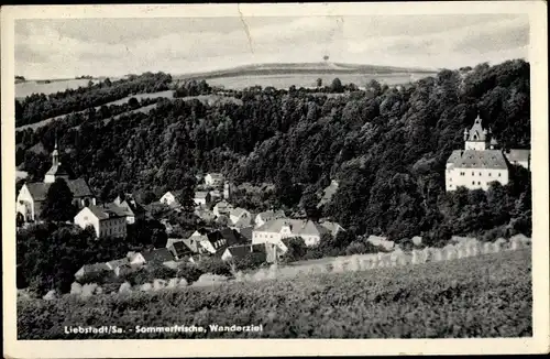 Ak Liebstadt Erzgebirge Sachsen, Panorama, Wanderziel