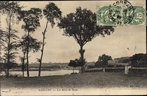 Ak Saintry-sur-Seine Essonne, Les Rives de Seine