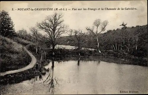 Ak Noyant la Gravoyère Maine et Loire, Vue sur les Etangs et la Chaussee de la Gateliere