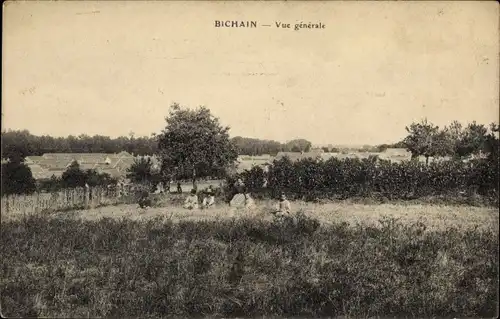 Ak Bichain Yonne, Vue generale