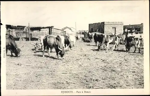 Ak Dschibuti, Parc a Boeufs