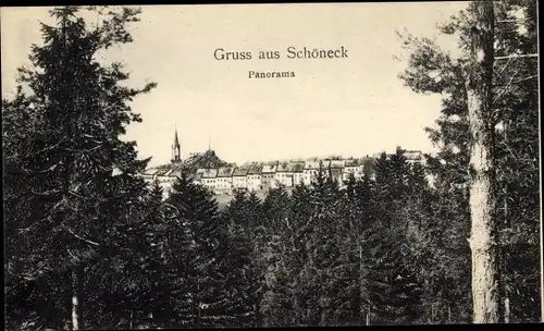 Ak Schöneck im Vogtland, Panorama