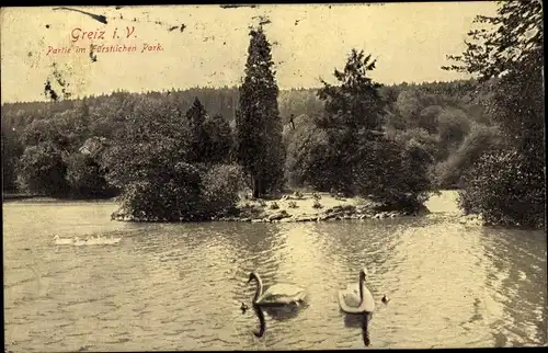 Ak Greiz im Vogtland, Partie im Fürstlichen Park, Schwan