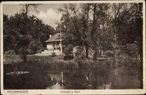 Ak Kellinghusen in Schleswig Holstein, Schnoors Park