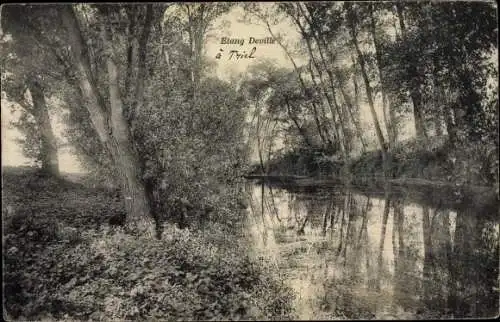 Ak Triel sur Seine Yvelines, Étang