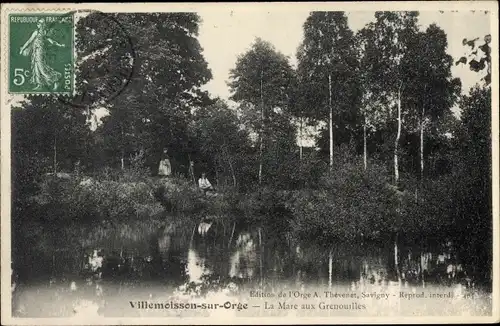 Ak Villemoisson sur Orge Essonne, La Mare aux Grenouilles