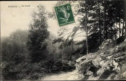 Ak Poigny la Forêt Yvelines, Felspartie, Wald