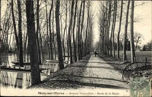 Ak Mary sur Marne Seine et Marne, Avenue Troisvallets, Bords de la Marne