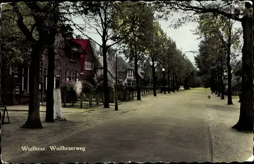 Ak Wolfheze Gelderland, Wolfhezerweg