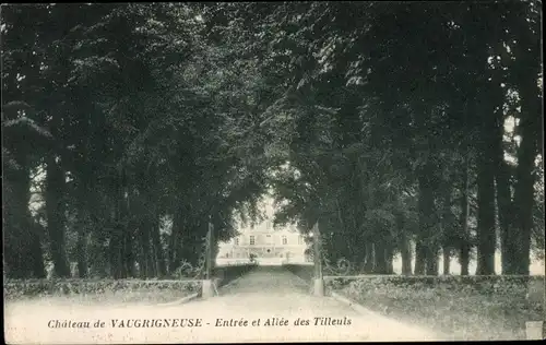 Ak Vaugrigneuse Essonne, Le Chateau, Entree et Allee des Tilleuls