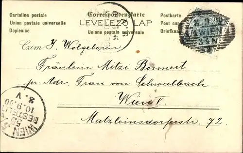 Litho Weiße Blüten, Margeriten