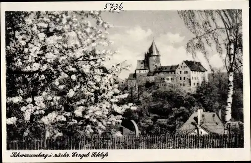 Ak Schwarzenberg im Erzgebirge Sachsen, Ortspartie