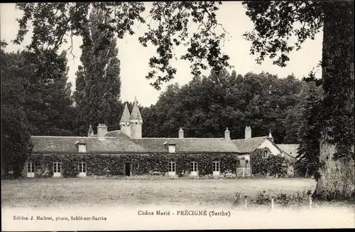 Ak Précigné Sarthe, Chêne Marié
