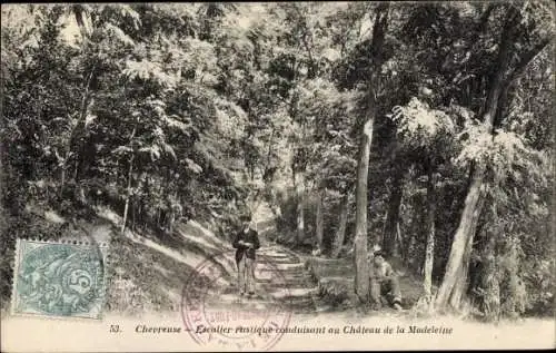 Ak Chevreuse Yvelines, Château de la Madeleine, Waldpartie
