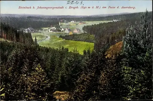 Ak Steinbach Johanngeorgenstadt im Erzgebirge, Panorama