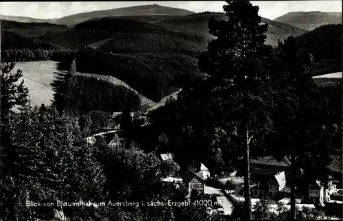 Ak Blauenthal Eibenstock im Erzgebirge, Blick zum Auersberg, Wald, Berge