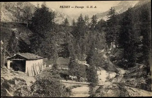 Ak Peisey Nancroix Savoie, Paysage, pont