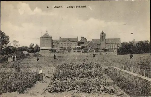 Ak Biville Manche, Village principal, jardin