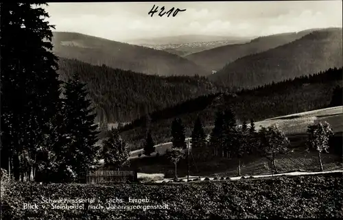 Ak Steinheidel Breitenbrunn im Erzgebirge, Panorama nach Johanngeorgenstadt