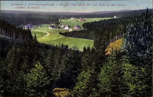 Ak Steinbach Johanngeorgenstadt im Erzgebirge, Panorama