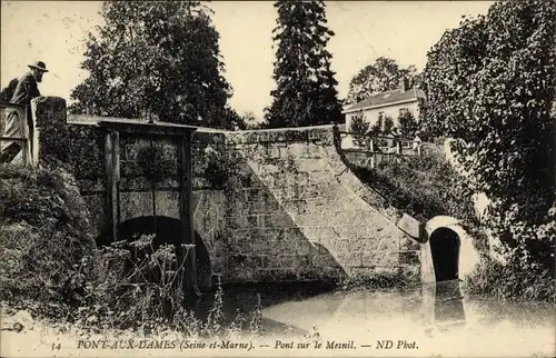 Ak Pont aux Dames Seine-et-Marne, Pont sur le Mesnil