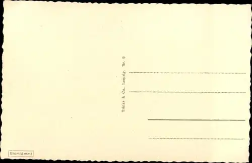 Ak Plauen im Vogtland, Bahnhofstraße mit Rathausturm