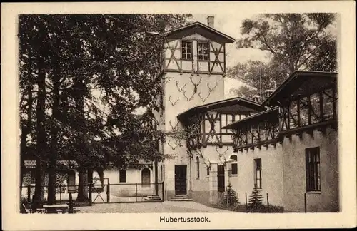 Ak Althüttendorf, Jagdschloß Hubertusstock, Geweihe