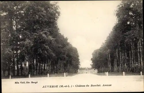 Ak Auverse Maine-et-Loire, Château du Bouchet, Avenue